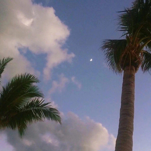 葉山さゆり无码影片
