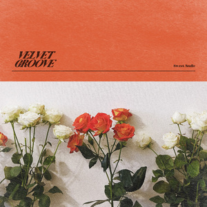 葉山さゆり无码影片
